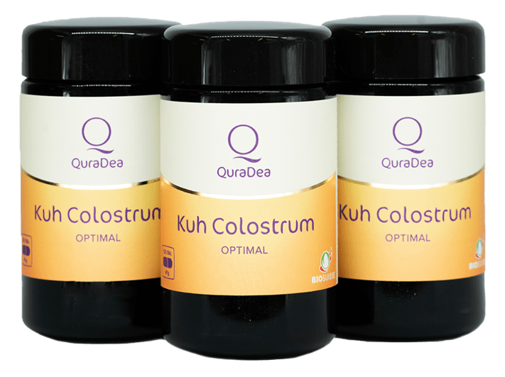 Bio Kuh Colostrum Optimal Kurpackung